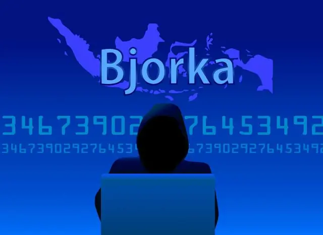 Kemenkominfo Tegaskan Pelaku Penyalahgunaan Data Pribadi Akan Ditindak Tegas